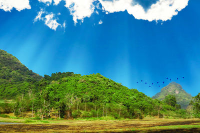 Scenic view of trees against sky