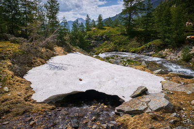 Stream flowing through rocks in forest