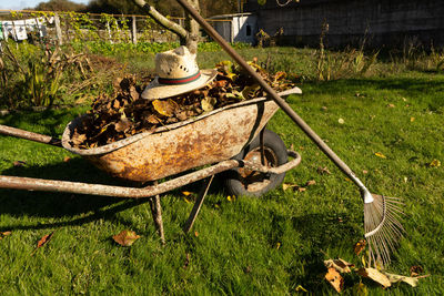 Wheelbarrow full of dry leaves and a straw hat on green grass field