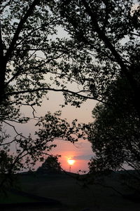 Low angle view of silhouette trees against sky during sunset