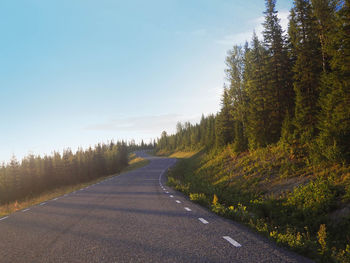 Road amidst trees against sky