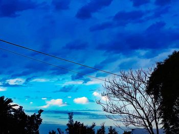 Low angle view of silhouette trees against blue sky