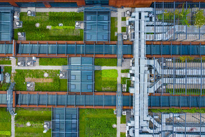 High angle view of plants growing on field