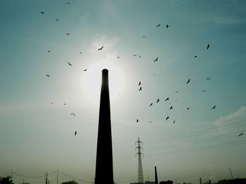 Low angle view of silhouette birds flying in sky