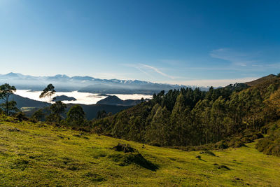 Scenic view of landscape against sky