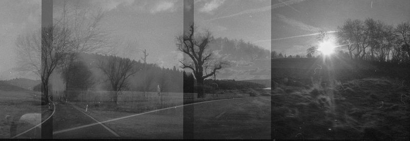 Road by bare trees against sky seen through window