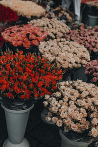 Fresh beige red roses flowers in the city center