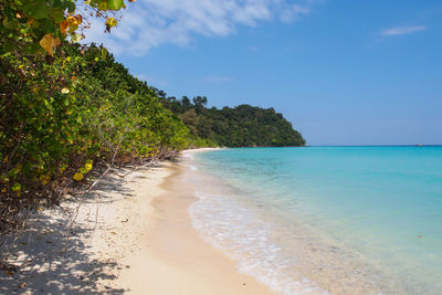 Scenic view of beach