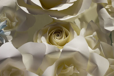 Close-up of rose bouquet