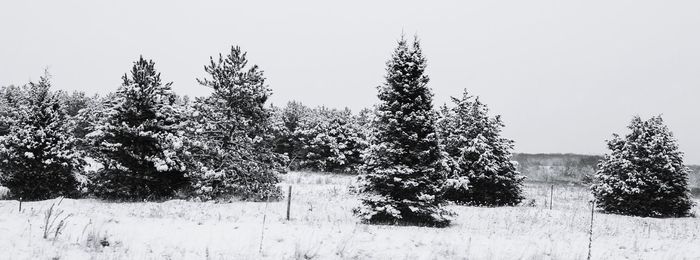 Trees on field against clear sky