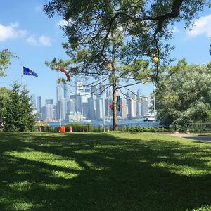 Park on field by trees against sky