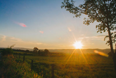 Scenic view of field against sky during sunset