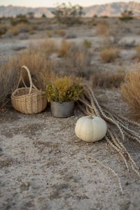 Close-up of wicker basket on sand