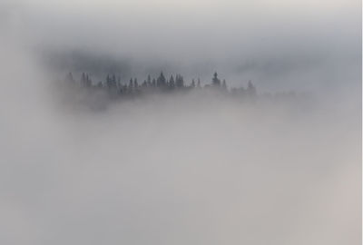 Scenic view of foggy weather against sky during winter