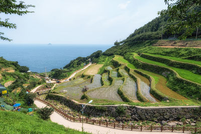 Daraengi village is  rice terrace built on the hill top looking over the ocean. namhae, south korea