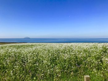 Scenic view of sea against clear blue sky