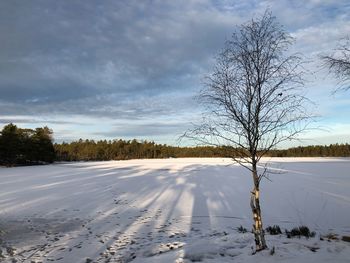 Bare trees on snow covered field against sky