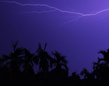 Low angle view of silhouette trees against sky at night