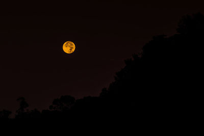 Silhouette trees against clear sky at night