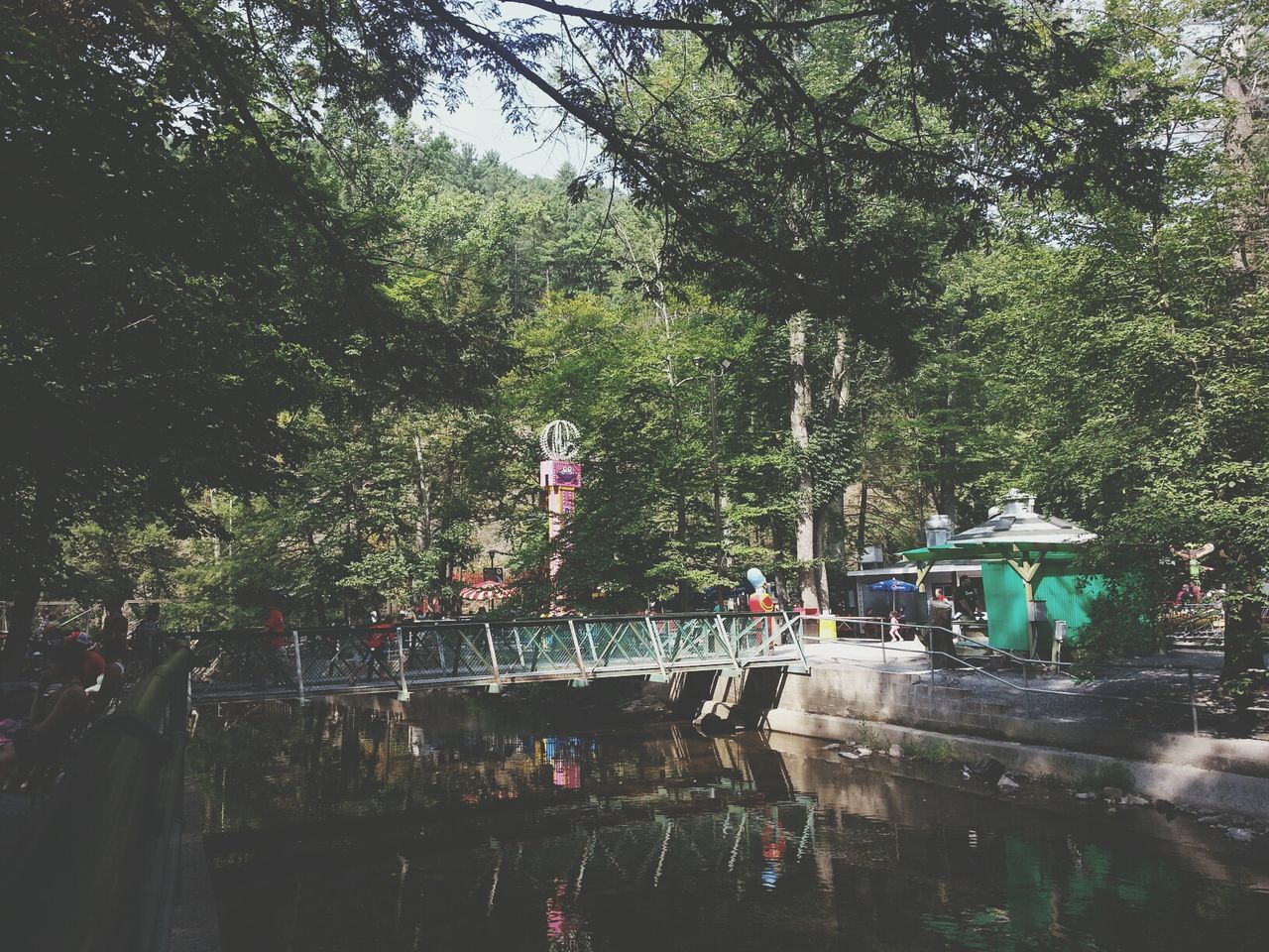 tree, water, transportation, growth, street, men, lifestyles, mode of transport, green color, incidental people, built structure, person, nature, large group of people, road, leisure activity, reflection, architecture, outdoors