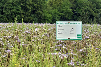 Information sign on field by trees