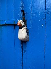 Close-up of bird sculpture on blue closed door