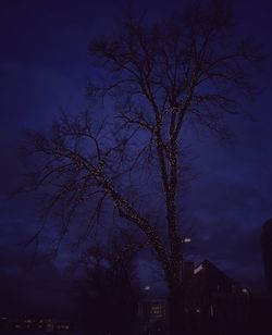 Low angle view of bare trees against sky at dusk