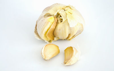 Close-up of eggs against white background