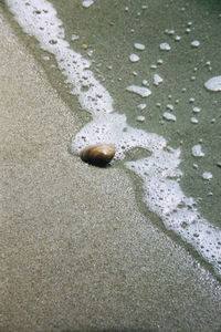 Close up of sea shore