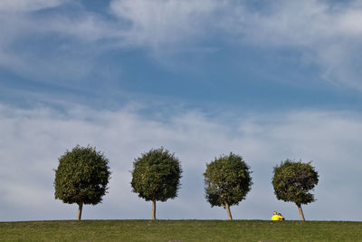 Trees on field against sky