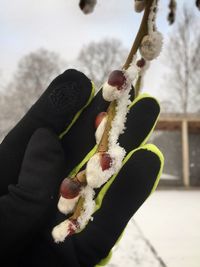 Close-up of hand holding ice cream