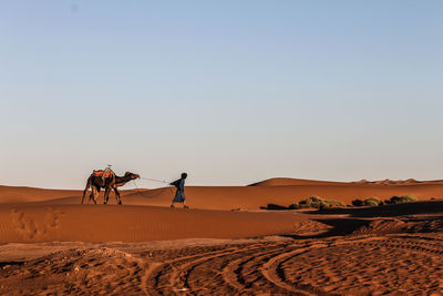 Man in the desert against clear sky