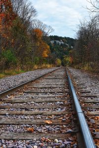 Railroad track amidst trees against sky