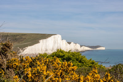 Panoramic view on the seven sisters white cliffs at seaford, east sussex, uk.