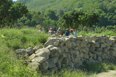 People on stone wall by trees