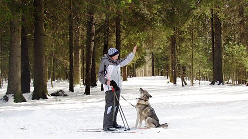 Man with dog in the forest