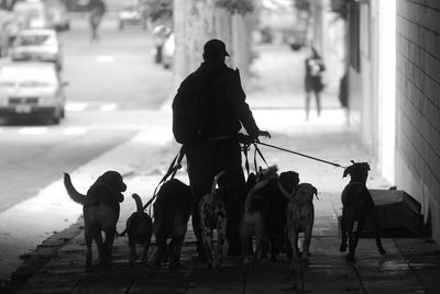 Man with dog on street