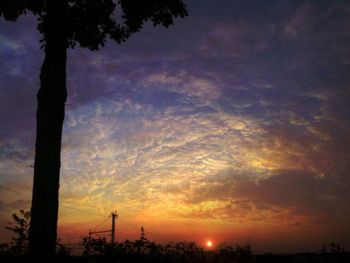 Silhouette trees against sky during sunset