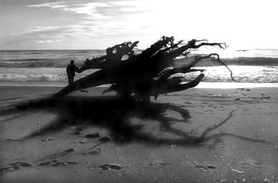 People on beach against sky