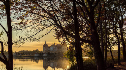 Trees by river against buildings in city at sunset