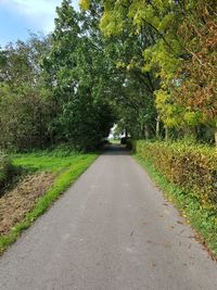 Road amidst trees against sky