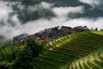 Panoramic shot of agricultural field against buildings