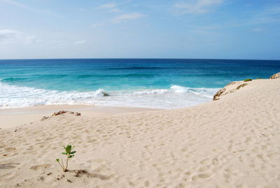 Scenic view of beach against sky