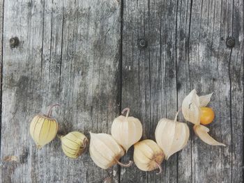 Close-up of food on wooden wall