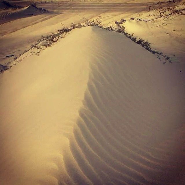 sand, tranquility, tranquil scene, water, beach, beauty in nature, scenics, nature, high angle view, footprint, sand dune, landscape, sea, non-urban scene, idyllic, shore, remote, wave pattern, travel destinations, tourism