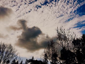 Low angle view of silhouette trees against sky