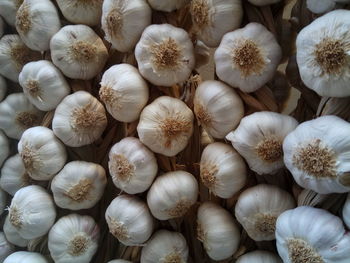 Full frame shot of white flowers