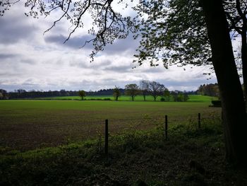 Scenic view of agricultural field against sky