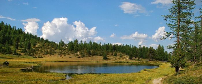 Panoramic view of lake amidst trees in forest against sky