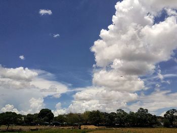 Panoramic view of trees against sky